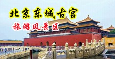 日本人舔阴视频中国北京-东城古宫旅游风景区